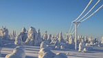 lapland, winter, snow