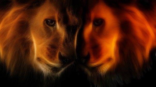 Animais, Twin, Signo