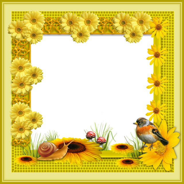 rahmen-blumen-png-kostenloses-bild-auf-pixabay