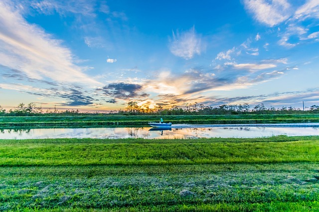 Free Boat Swamp photo and picture