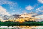 sunset, everglades, landscape
