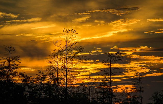 Free Sunset Nature photo and picture