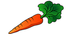 carrot, vegetable, cultivate