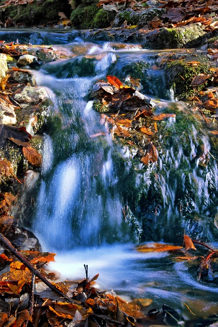 Free Source Water photo and picture