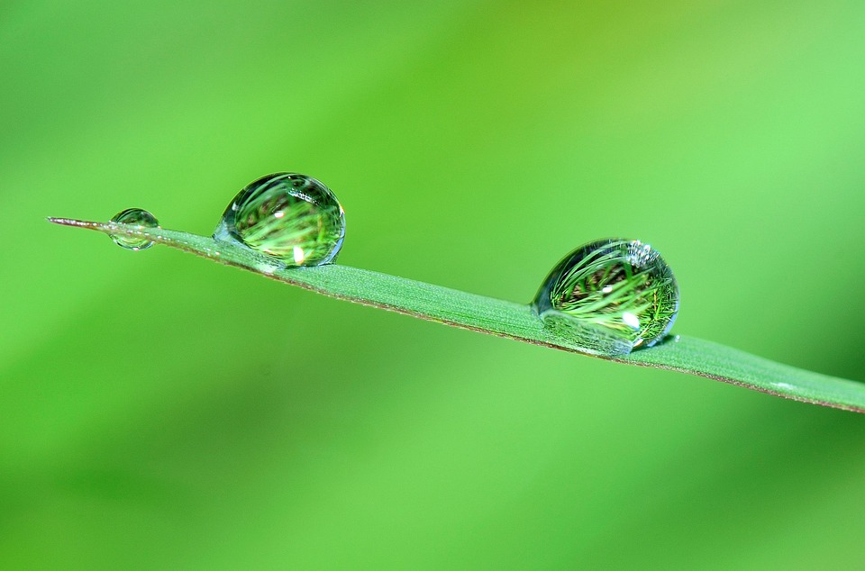 操丝袜老师美脚屁眼视频