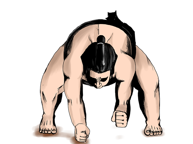 Free sumo wrestlers sports illustration