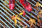 feet, shoes, women's shoes