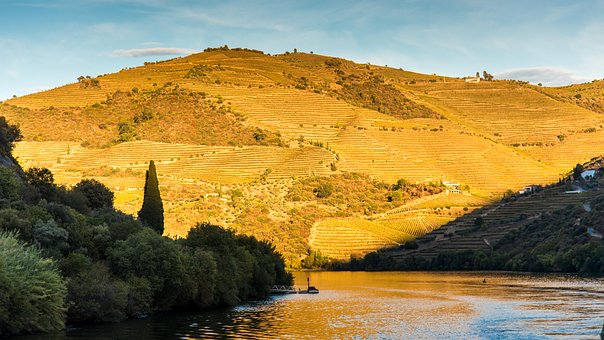Free Douro Flow photo and picture