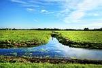waterway, grassy banks, meadows