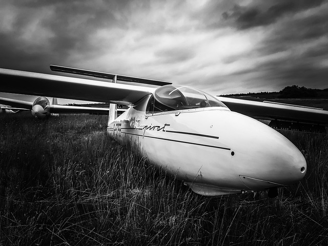 Free Glider Pilot Plane photo and picture