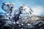 winter, landscape, wintry