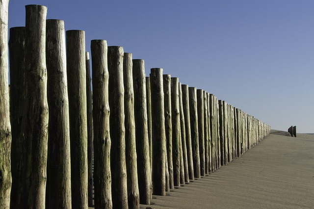 Free Ocean Beach photo and picture