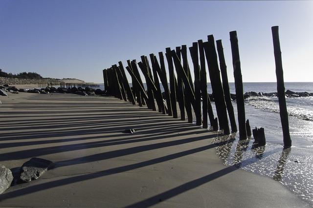 Free Ocean Beach photo and picture