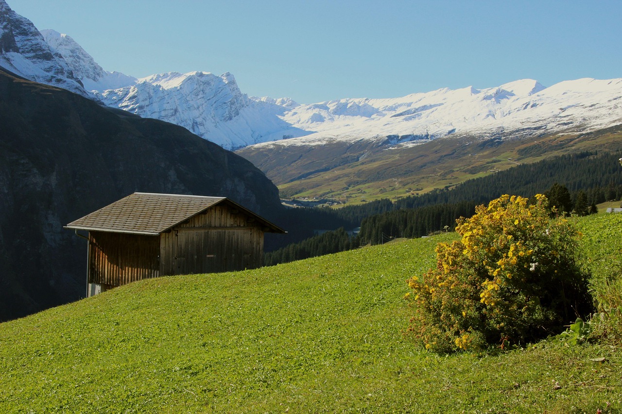 Graubünden Switzerland Alps - Free photo on Pixabay