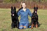 doberman, black german shepherd, blonde woman