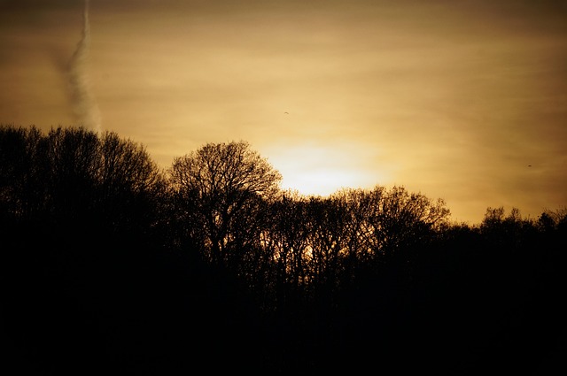 Free Landscape Sunset photo and picture
