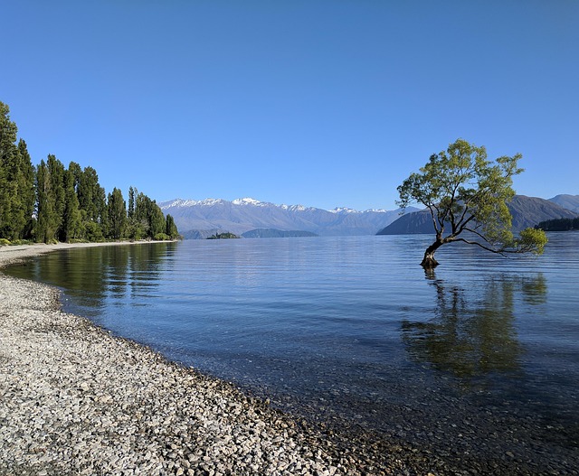 Free Wanaka New Zealand photo and picture