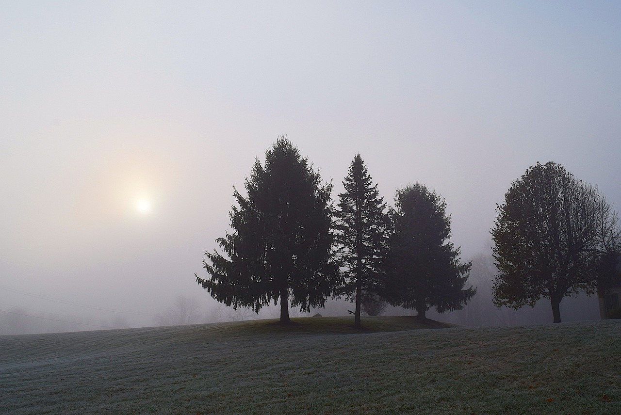 Fog - free online jigsaw puzzle photo