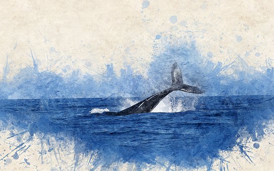 Whale, Watercolor, Sea