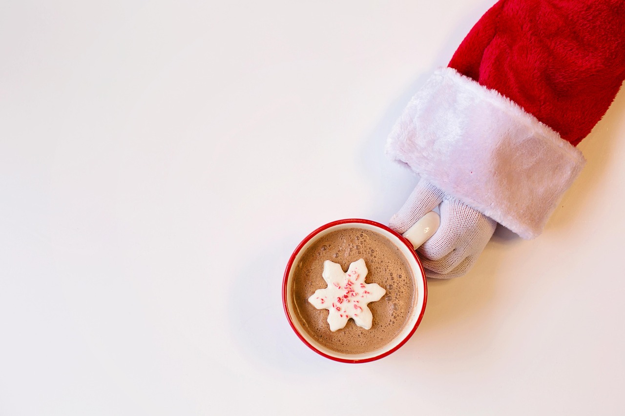 Santa Claus White Background Hot - Free photo on Pixabay