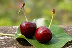 food, the cherry australia, nine dream