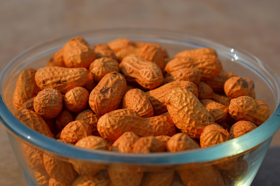 Cacahuetes, Maní, Nueces, Merienda