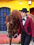 amazon, andalusia, horse