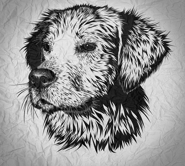 Free art photoshop mascot illustration