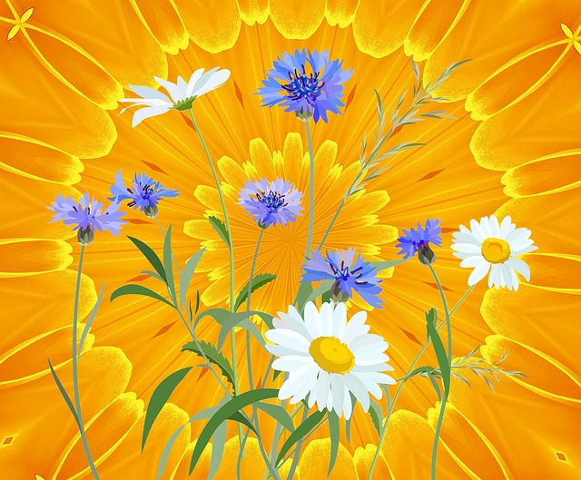 Free flowers daisy floral illustration