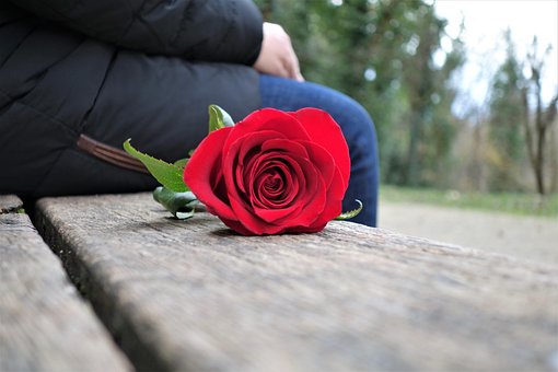 Chica Con Rosa Roja, El Amor