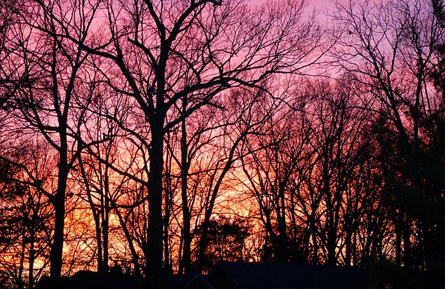 Zonsondergang, Gouden Uur, Lucht, Avond