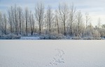 lake, travel, siberia