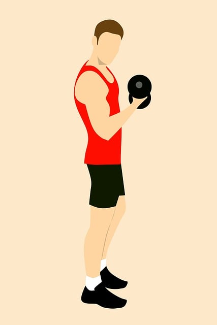 Gimnasio, Hombre, Tenencia, Músculo