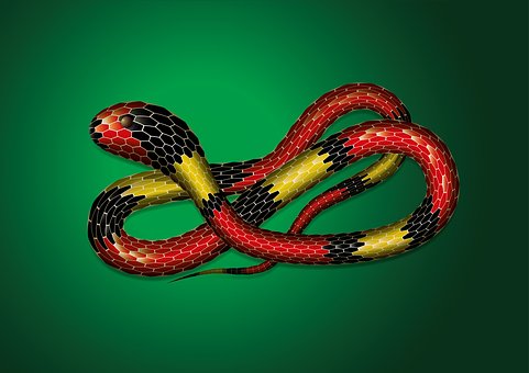 Free Snake Animals illustration and picture