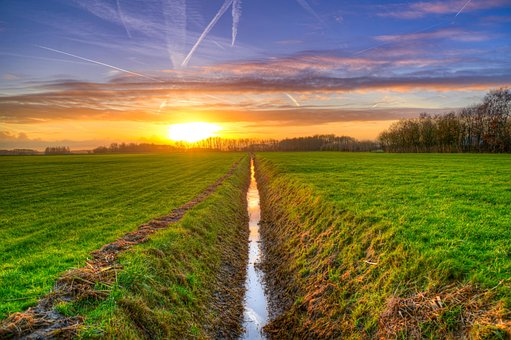 Rów, Zachód SÅoÅca, Hdr, ÅÄ
ki, Rolnictwo