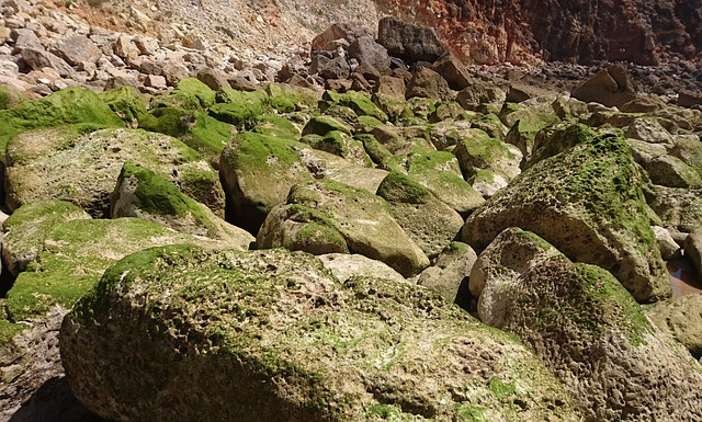 Free Stones Nature photo and picture