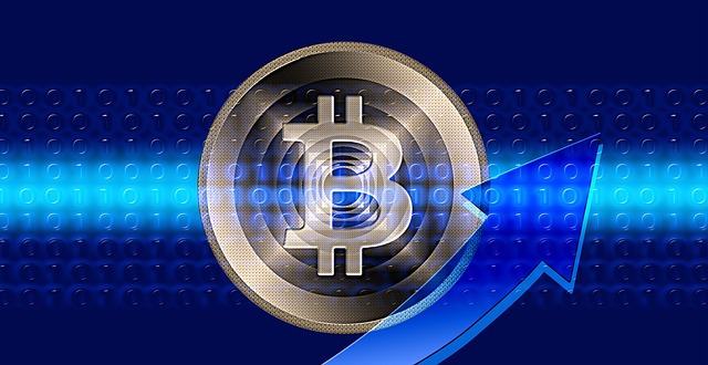 Free bitcoin coin money illustration