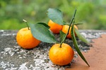 food, fruits, vietnam