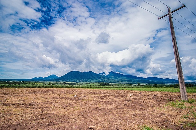 Free Mountain Sugarcane photo and picture