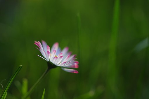 공증 개인채권 파산2