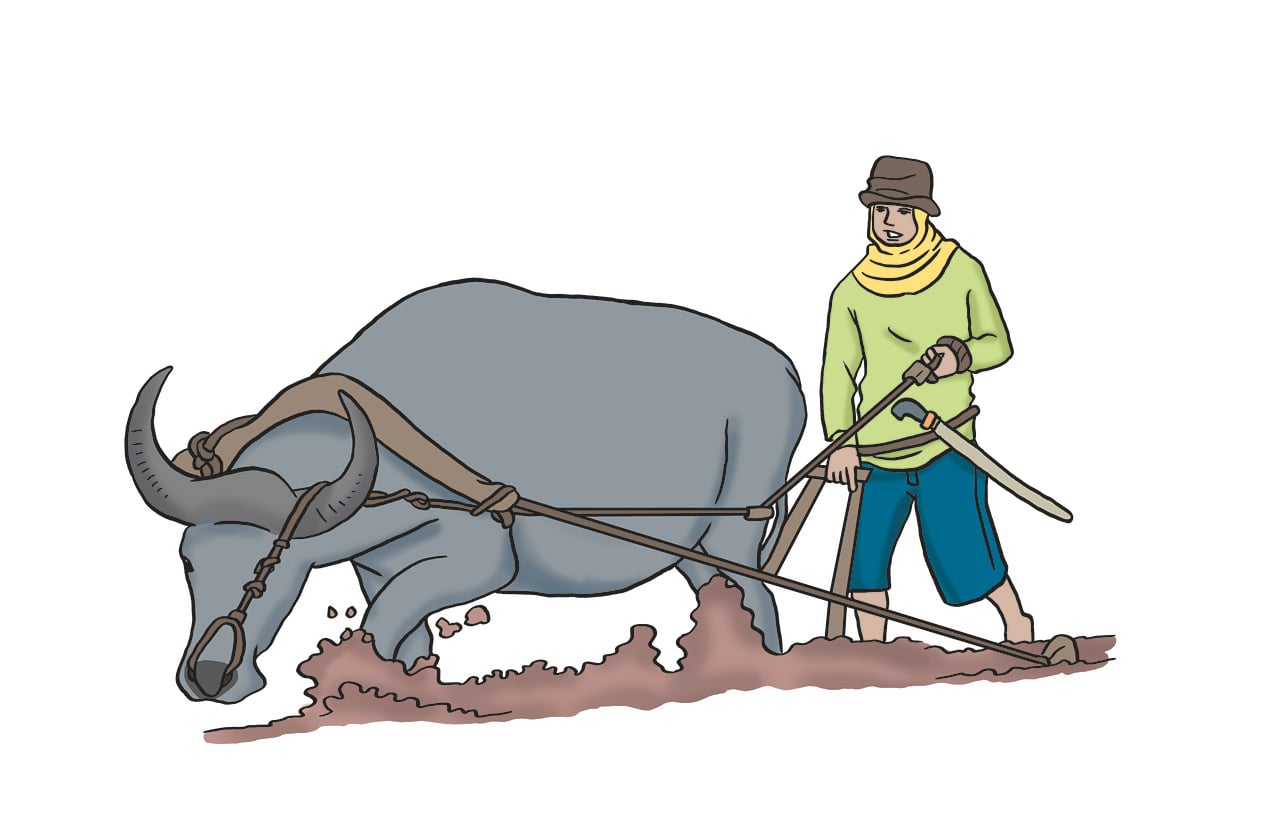 Farming Farmer Plow Free Image On Pixabay