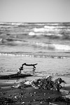 beach, sea storm, waves