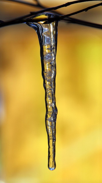 icicle, winter, ice, cold, icicle, icicle, icicle, icicle, icicle