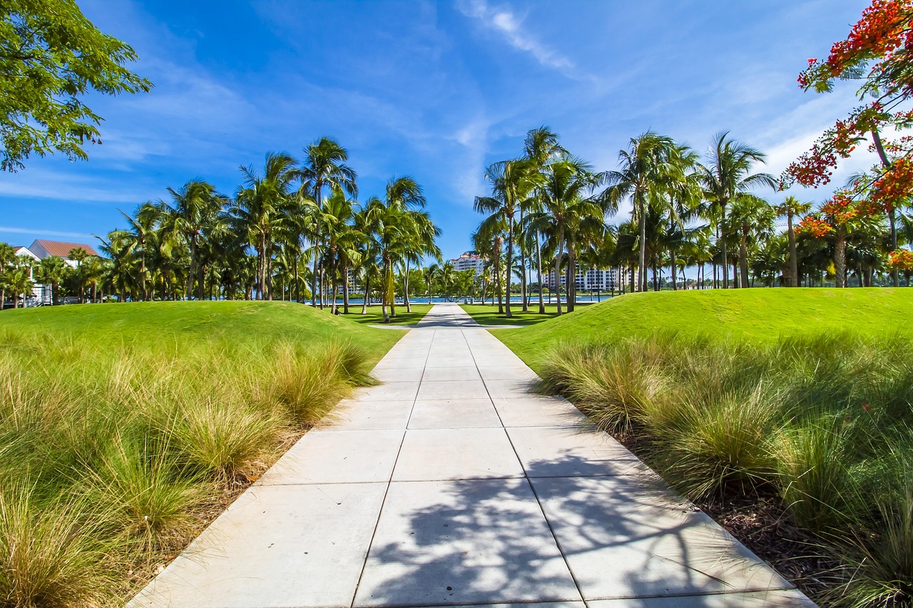 Miami Yaz Mevsimi Plaj Pixabay'de ücretsiz fotoğraf Pixabay