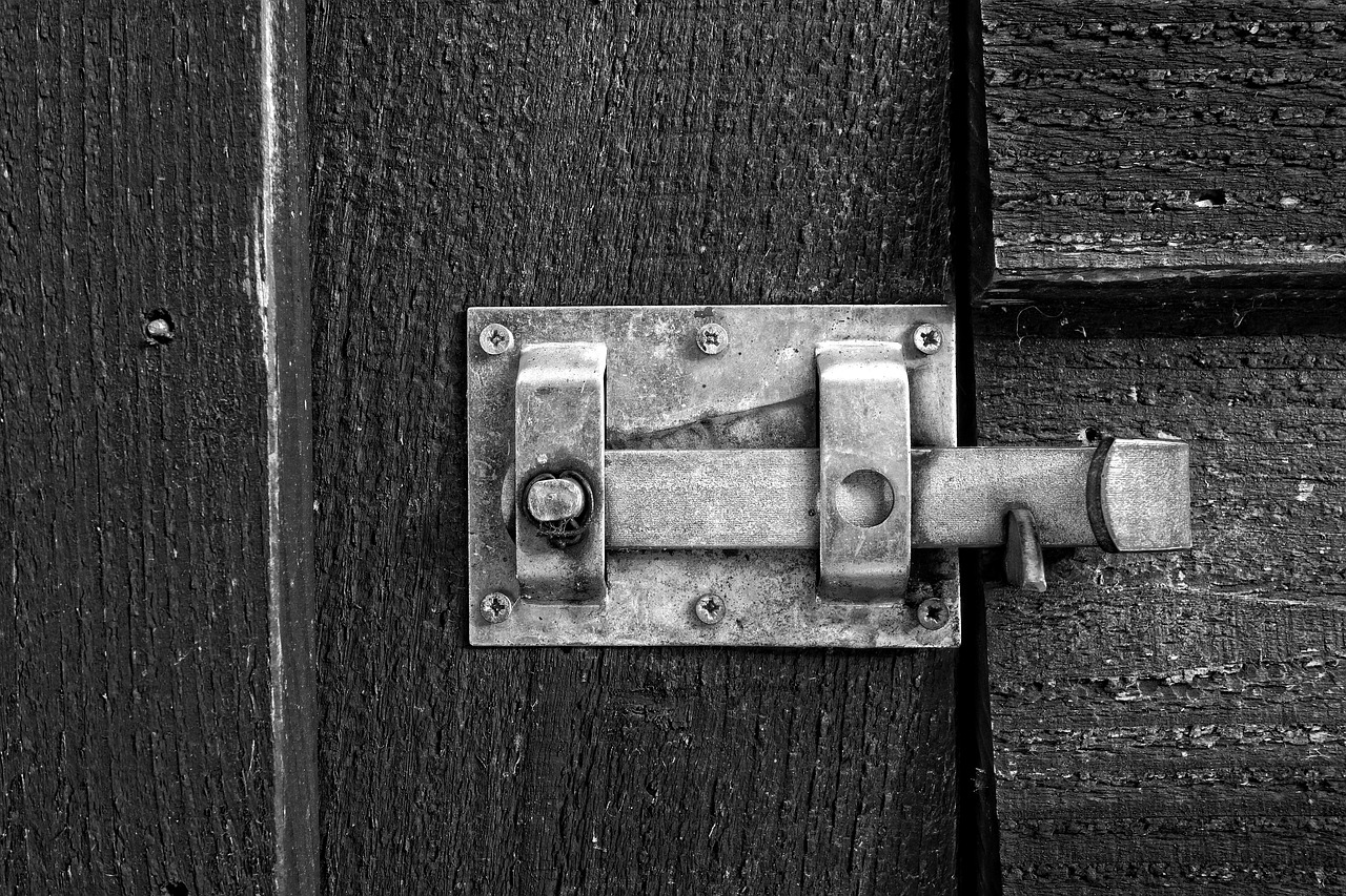 超过 70 张关于“Latch”和“闩锁”的免费图片 - Pixabay