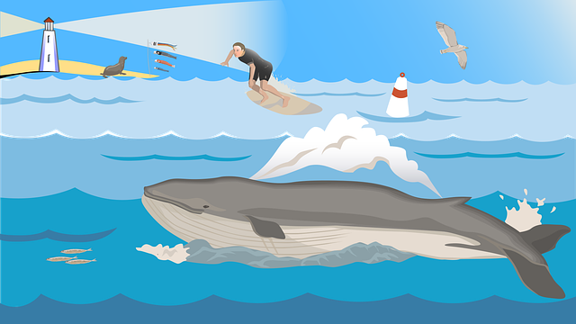 Free ocean whale blue vector