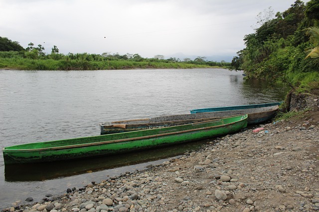 Rivers such as the Sixaola and Telire have long connected dispersed Bribri clan settlements across the Talamanca region.
