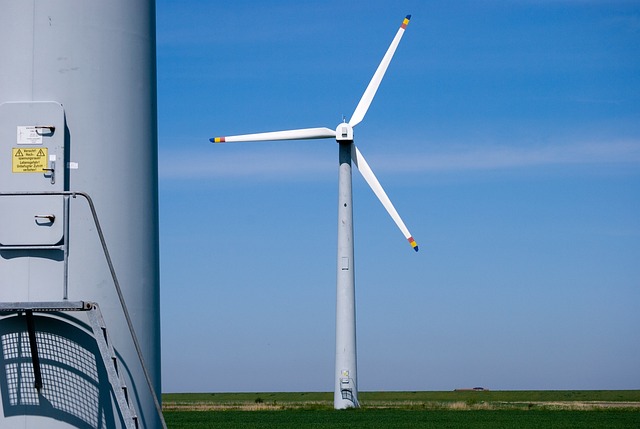 Free Wind Power Coast photo and picture