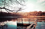 forest, bridge, lake