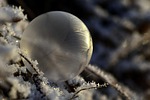 bubble, soap bubble, frozen